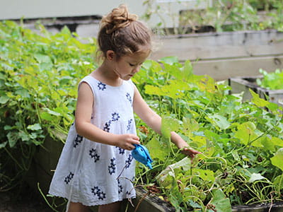 Girl Wearing White Floral Dress Beside Grass Plant at Daytime